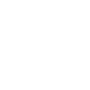 Grangor 2020 Icon 2b Large White