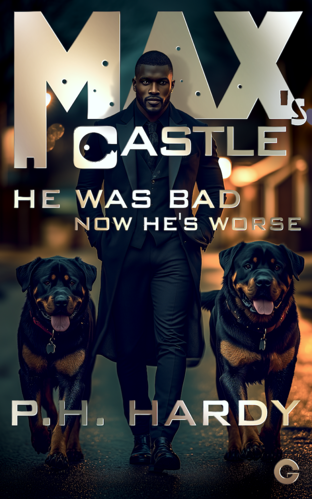 Max's Castle Book Cover 2 Small